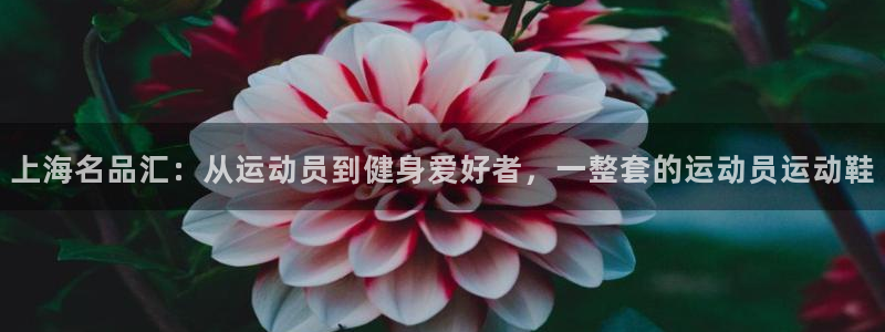 球皇直播nba