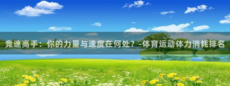 球皇社在线观看
