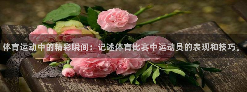 球皇看球