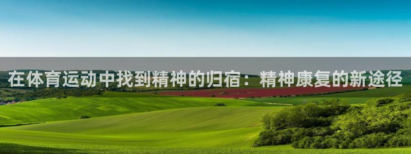 球皇看球最新版