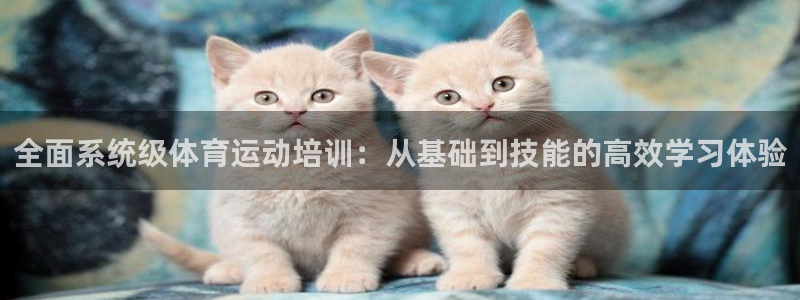 球皇直播直播网