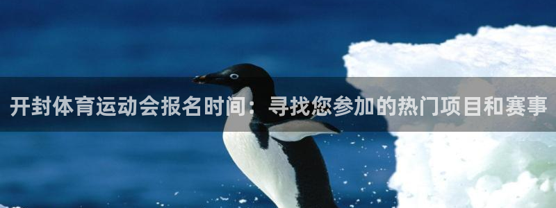 球皇直播cctv5