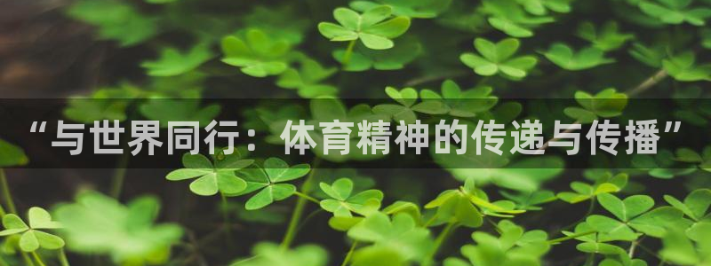 球皇看球APP：“与世界同行：体育精神的传递与传播”