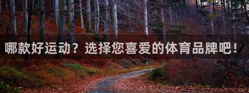 球皇nba体育在线直播：哪款好运动？选择您喜爱的体育品牌吧！