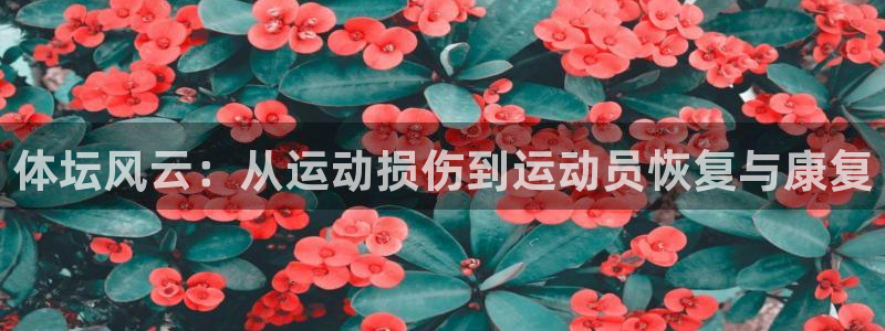 球皇社下载官网