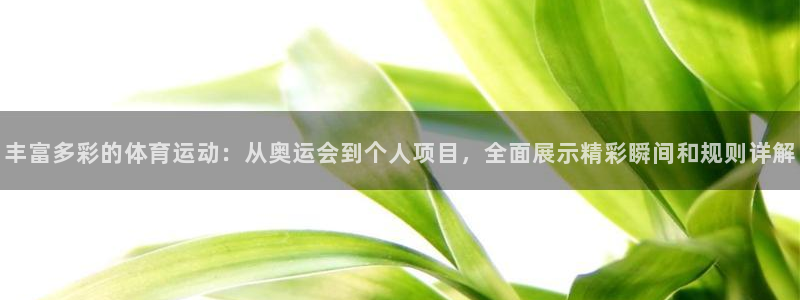 球皇社NBA直播免费观看：丰富多彩的体育运动：从奥运会到个人项目，全面展示精彩瞬间和规则详解