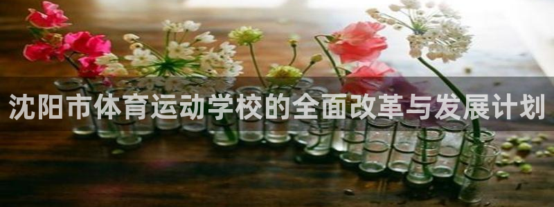 球皇直播NBA：沈阳市体育运动学校的全面改革与发展计划